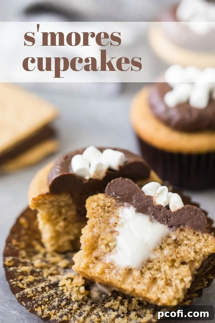 Moist S'mores Cupcake Recipe with Honey Graham Cake Base