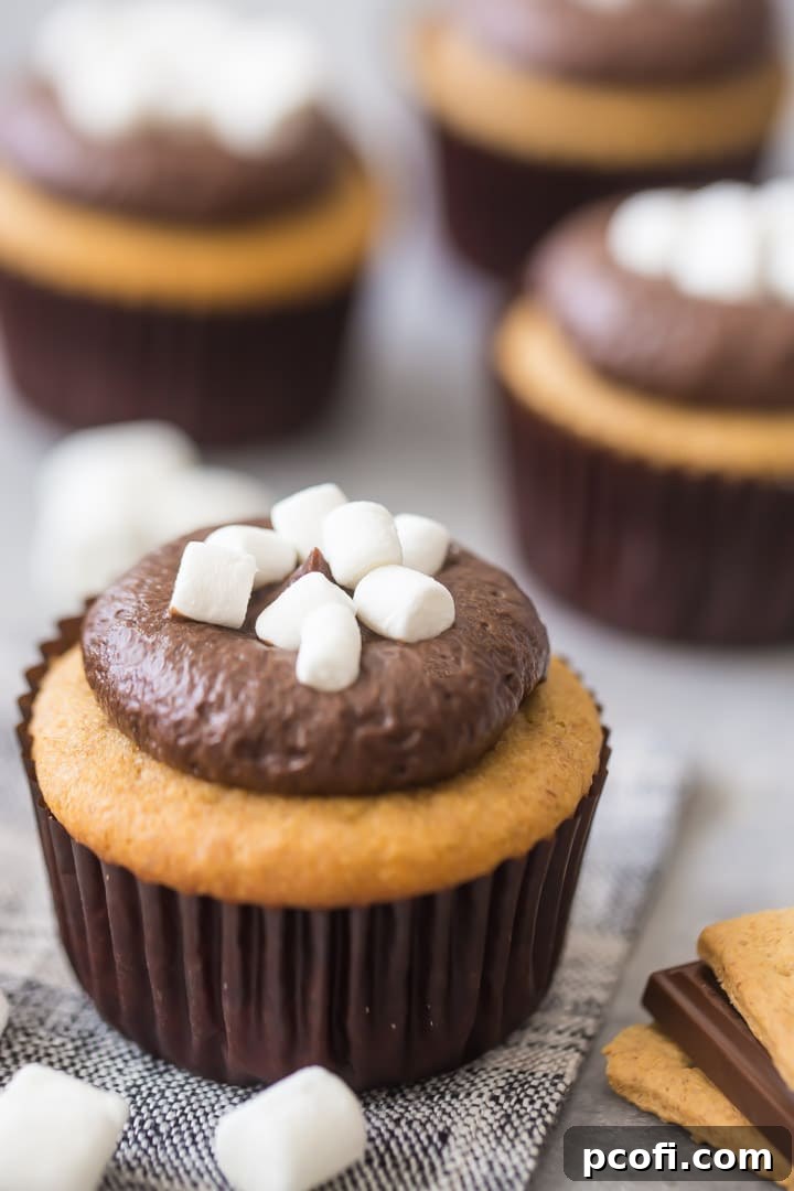 Easy S'mores Cupcakes with Chocolate Frosting