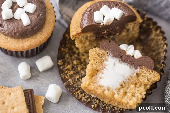 Marshmallow Filled S'mores Cupcakes Ready for a Party