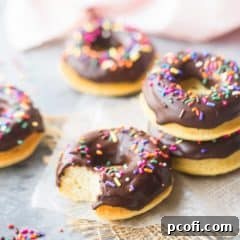 Best Chocolate Frosted Donuts Recipe