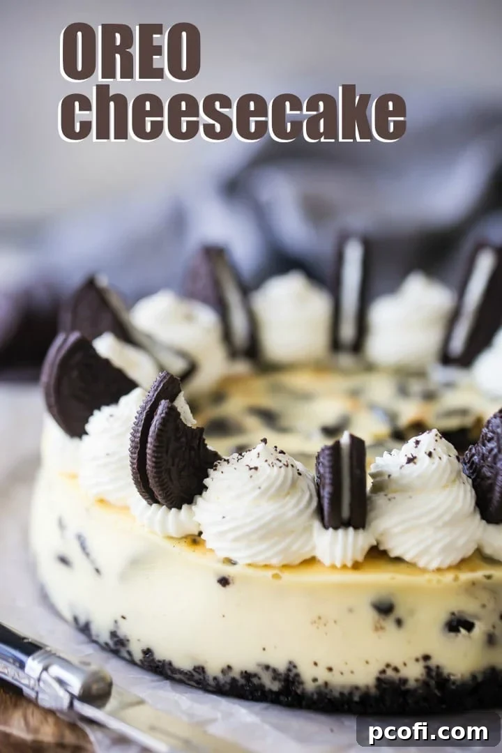 Baked Oreo Cheesecake Recipe: Smooth vanilla filling with whole Oreo pieces, baked to perfection.