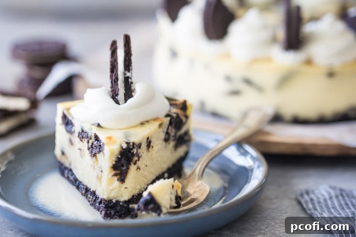 Best Baked Oreo Cheesecake Recipe: A perfectly sliced portion of creamy Oreo cheesecake with garnishes.