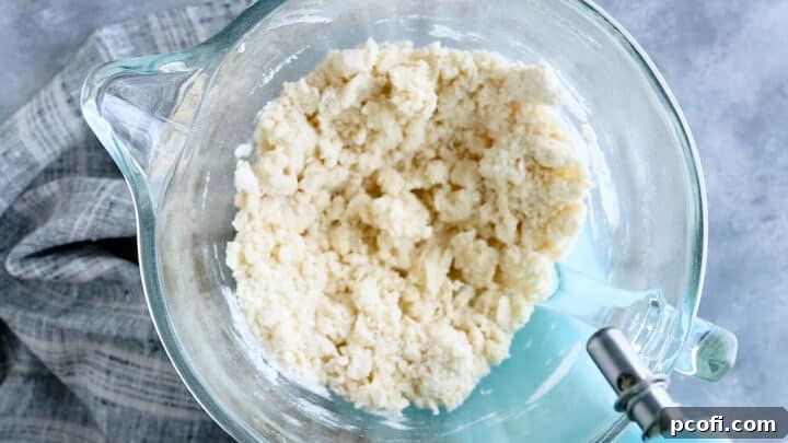 Butter and dry ingredients for marble cake mixed together until the mixture resembles damp sand.