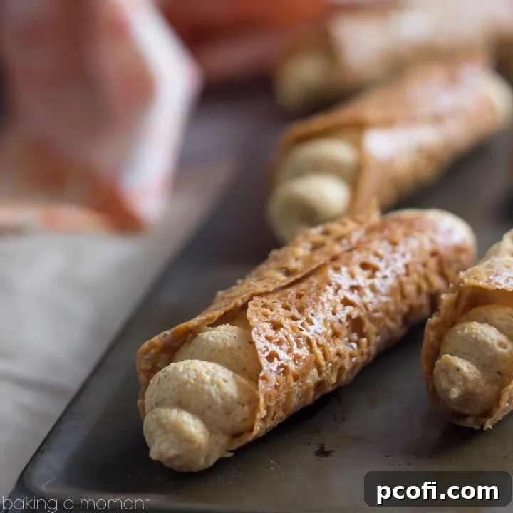 Such a fun Fall treat! Pumpkin Cannoli with a creamy, spiced filling & a nutty almond brittle shell.