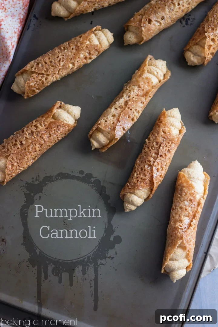 Such a fun Fall treat! Pumpkin Cannoli with a creamy, spiced filling & a nutty almond brittle shell.