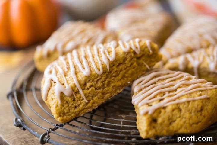 Pumpkin Spice Scone Recipe - Warm and comforting fall bake