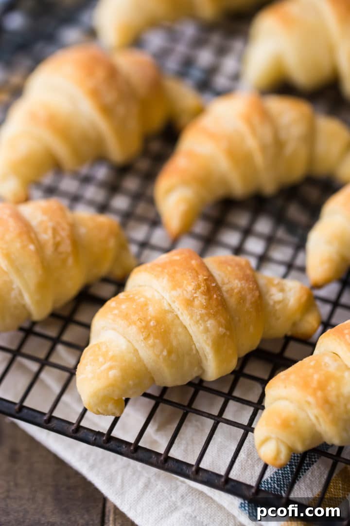 Soft Homemade Dinner Rolls Recipe - Warm and Buttery