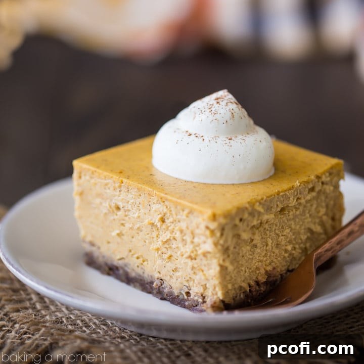 Pumpkin Cheesecake Bars: Cool, creamy, and infused with real pumpkin & spice. Loved that these were naturally gluten-free, that nutty crust is perfection!