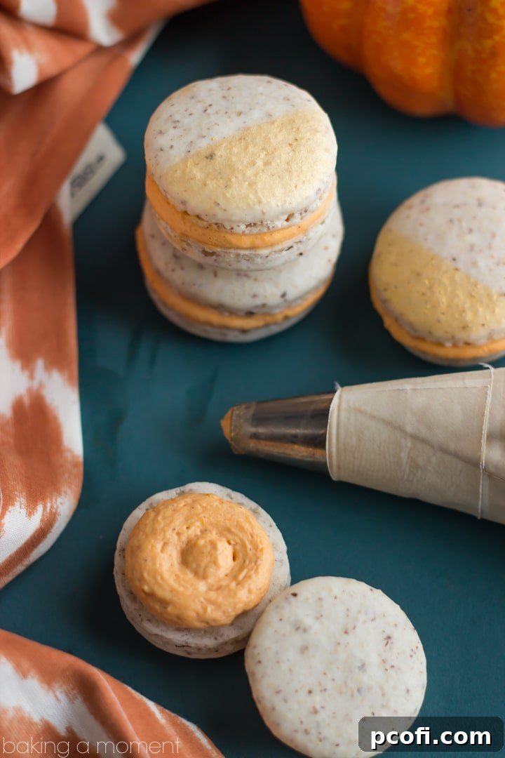 Close-up of golden-dusted hazelnut macarons with pumpkin maple cream cheese filling, perfect for a fall treat