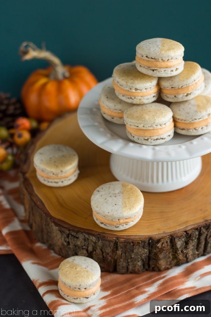 Assorted hazelnut macarons arranged beautifully, showcasing their golden shimmer and delicious pumpkin maple filling