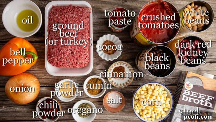 Ingredients for making chili con carne, with text labels for each item.