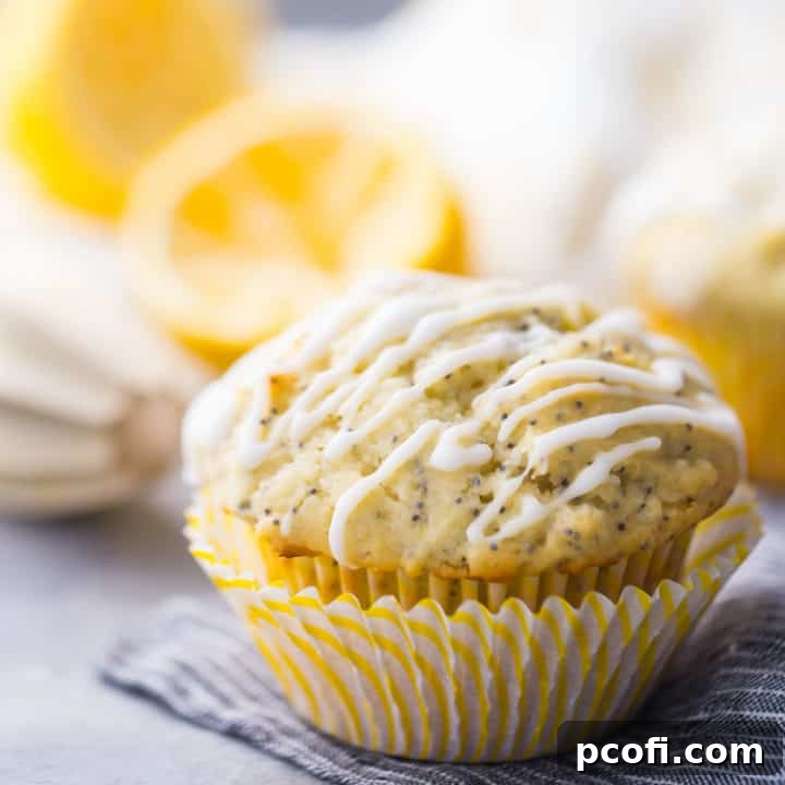 Best Lemon Poppy Seed Muffins Recipe - A delightful citrus treat, perfect for any time of day.