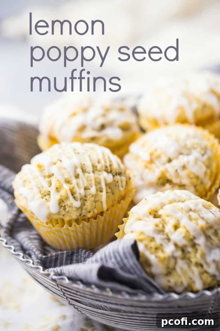 Easy Lemon Poppy Seed Muffins Recipe - Fluffy, zesty, and easy to make.