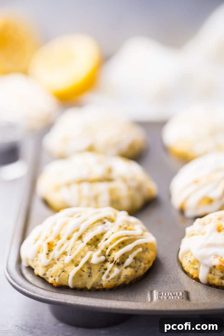 Moist Lemon Poppy Seed Muffins - Perfect for breakfast or brunch.