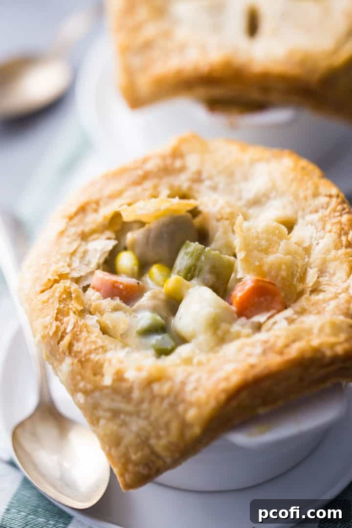 Creamy Chicken Pot Pie Recipe with Golden Crust