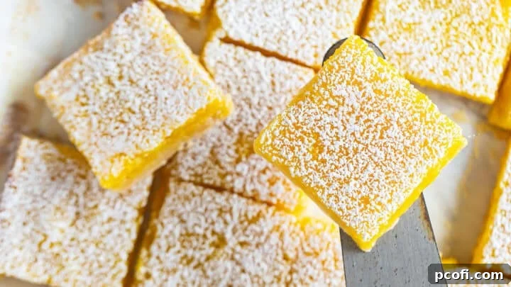 Lemon bars topped with powdered sugar and cut into squares.