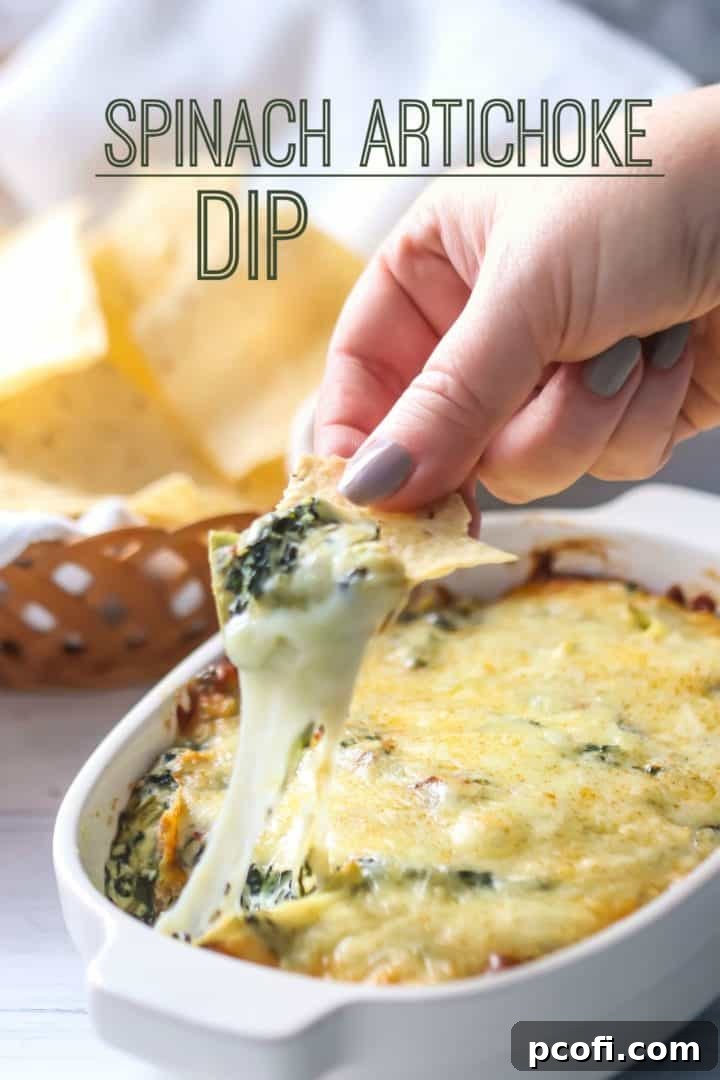A corn chip being dipped into a steaming pan of cheesy spinach artichoke dip, showcasing its gooey texture.