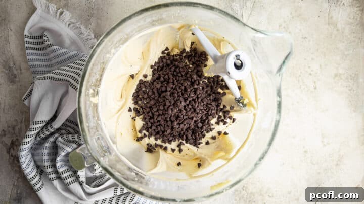 Adding mini chocolate chips to vanilla cake batter.