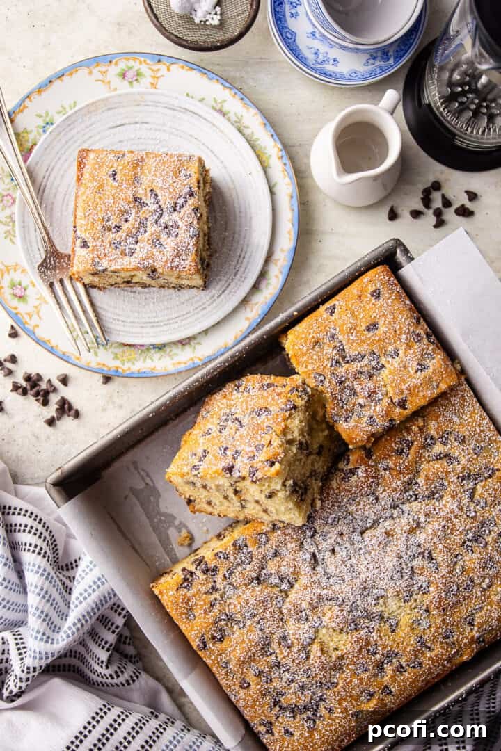 Easy chocolate chip cake recipe, baked and cut into squares, showing moist interior.