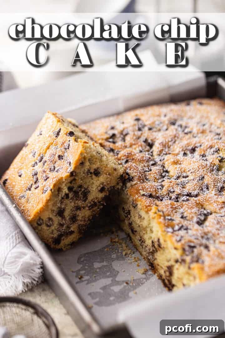 Close-up of a square chocolate chip cake in the pan, dusted with powdered sugar, ready to be served.