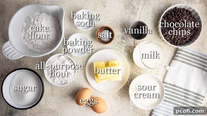 Various ingredients for making chocolate chip cake laid out on a surface.