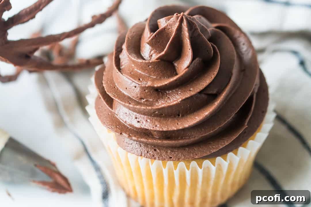 Vanilla cupcake with a perfect swirl of whipped chocolate ganache, a whisk in the soft-focus background.
