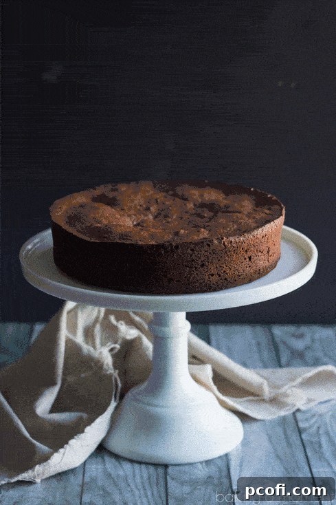 A slice of Chocolate Amaretto Torte, showcasing its rich texture and decadent layers. #chocolatedessert #amarettocherry #bakinglove