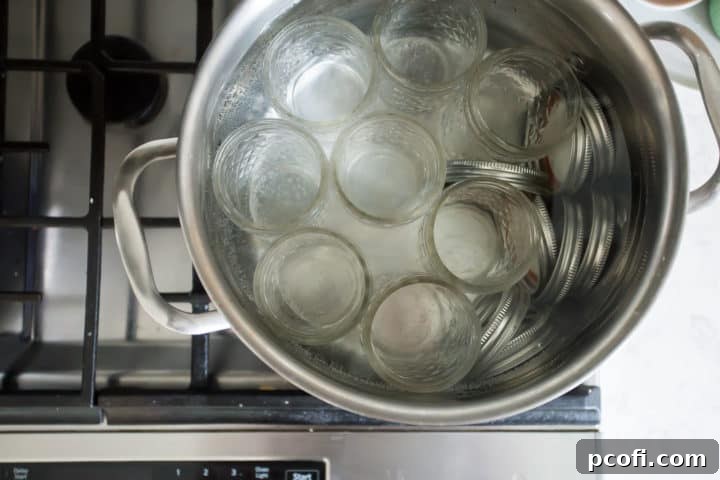 Canning jars & lids in a large pot of boiling water.