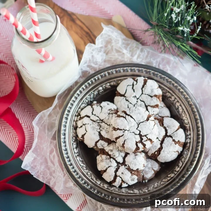 Irresistible Classic Chocolate Crinkle Cookies, beautifully coated in powdered sugar, showcasing their signature crinkles. Enhanced with the delightful flavors of hazelnut and orange, perfect for holiday gatherings.