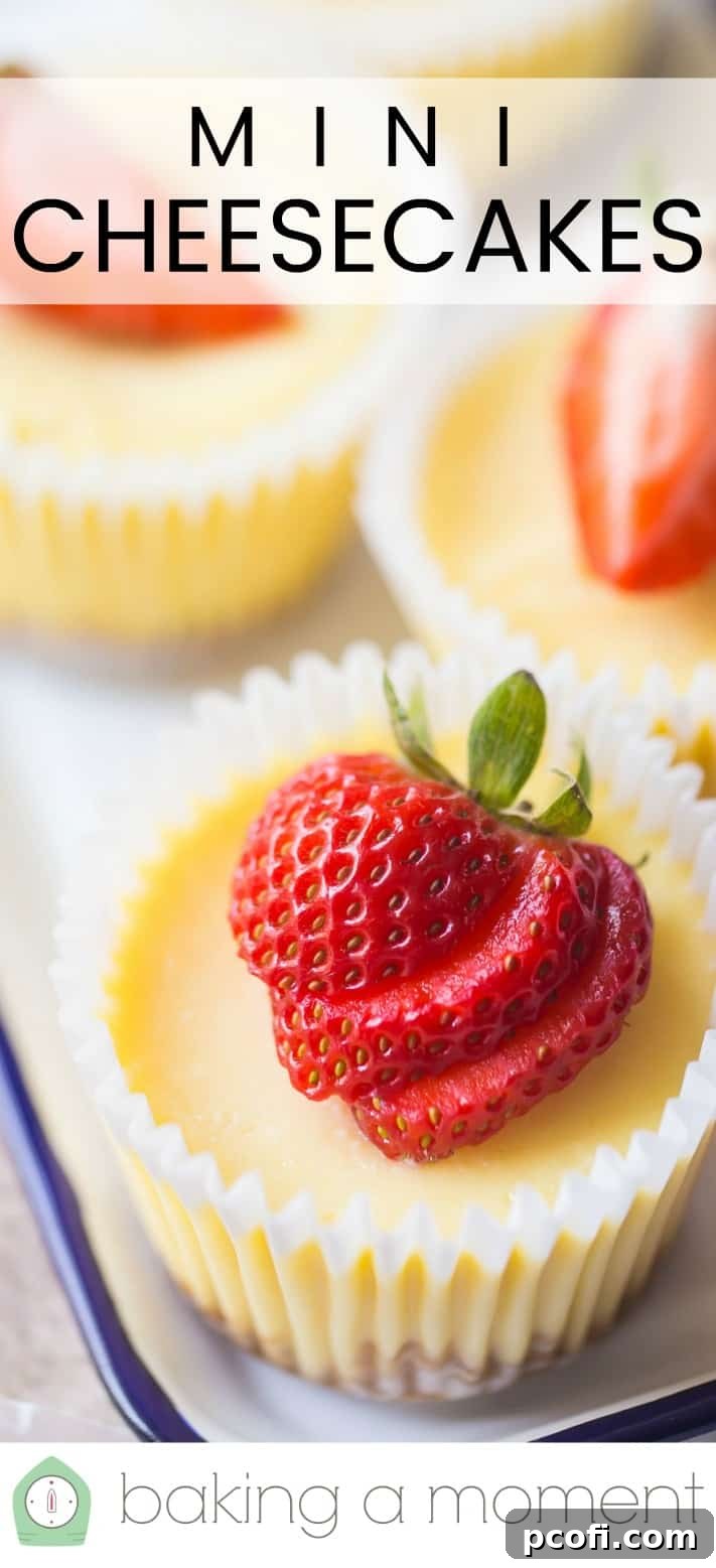 Close up image of a mini New York cheesecake with graham cracker crust, topped with a sliced strawberry.