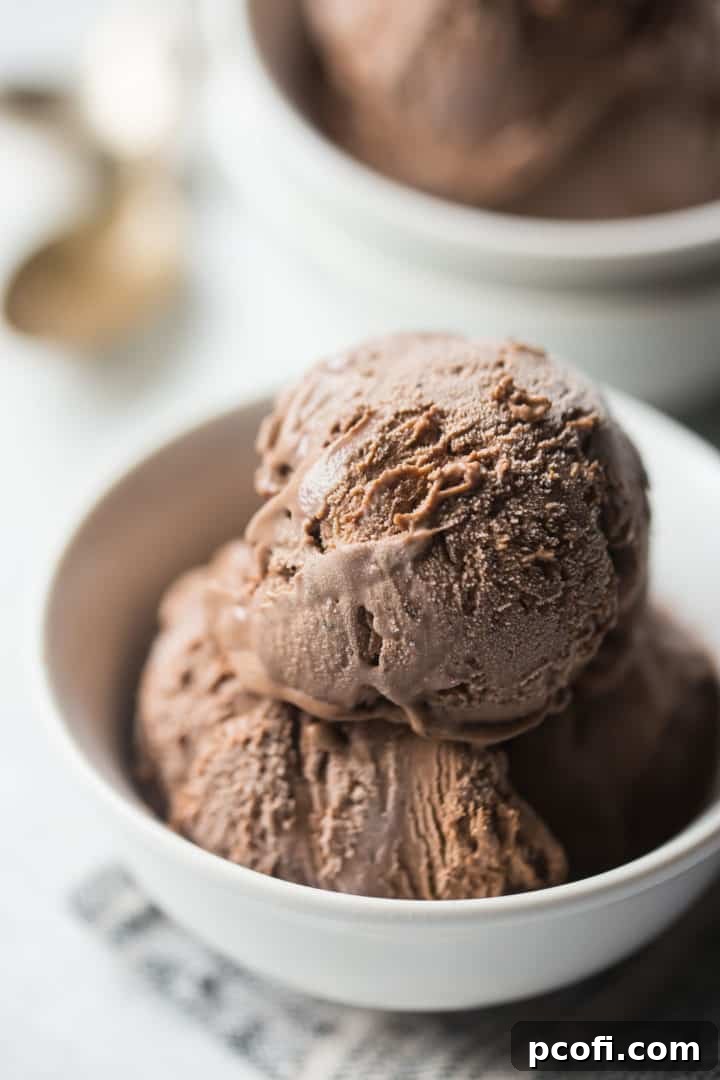 Homemade chocolate ice cream in a white bowl on a gray napkin.