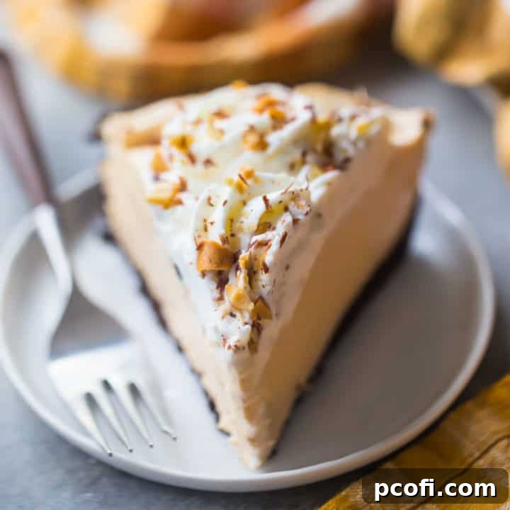 One perfect slice of peanut butter pie with whipped cream and an Oreo cookie crust.