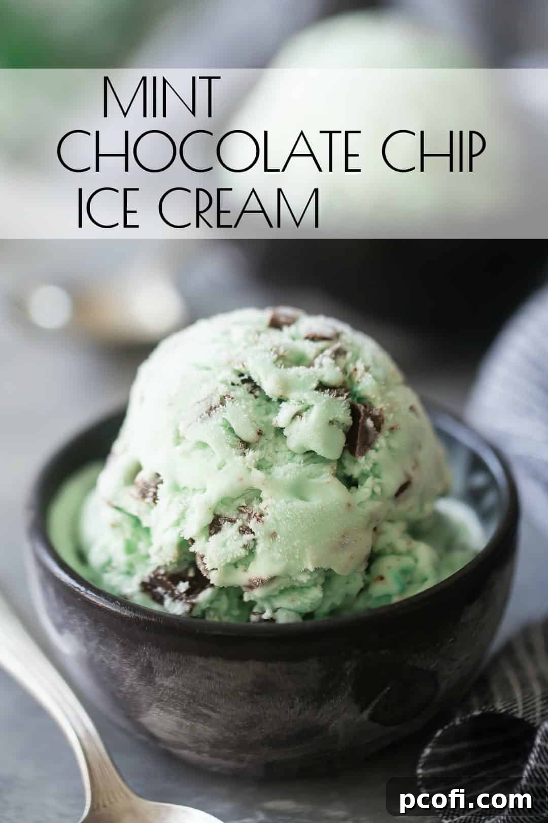 Two bowls of homemade mint chocolate chip ice cream, with a text overlay above that reads "Mint Chocolate Chip Ice Cream," set on a clean background.