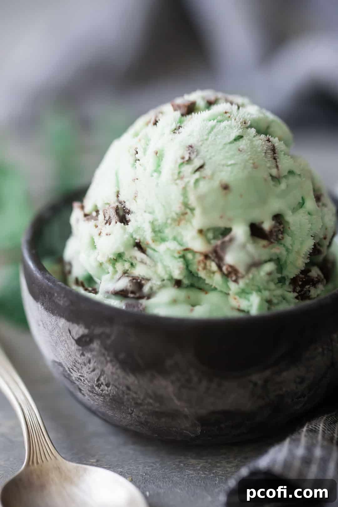 Close up image of a perfectly scooped bowl of homemade mint chocolate chip ice cream, highlighting its creamy texture and rich chocolate flecks.