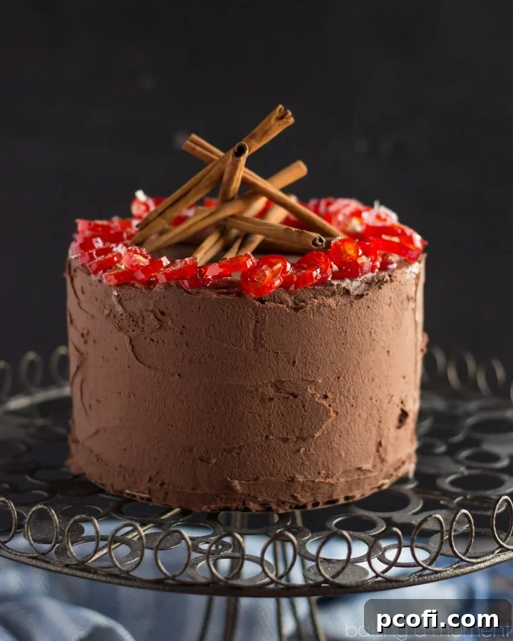 Decadent Mexican chocolate layer cake with coffee liqueur, cinnamon, nutmeg, and cayenne
