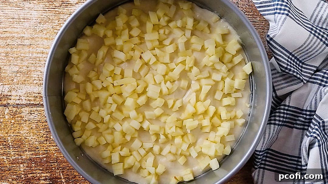A close-up view of the diced apple layer gracefully spread over the first layer of cake batter in the springform pan, promising juicy pockets of fruit.
