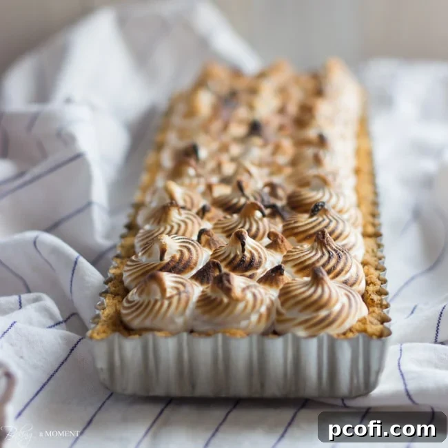 Decadent Nutella s'mores tart with a toasted meringue topping.