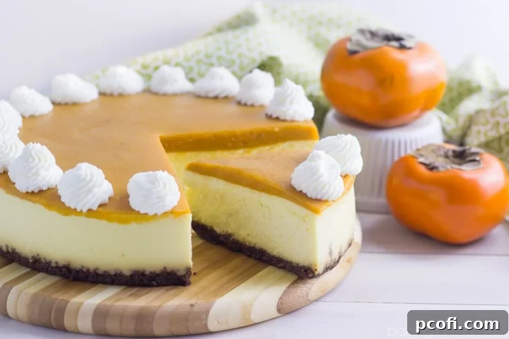 A beautifully presented New York style cheesecake with a spicy gingersnap crust, topped with a luscious persimmon topping. Ready to be served.