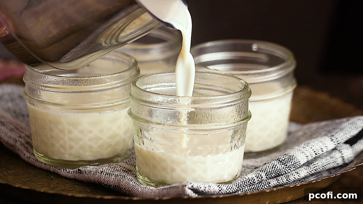 Making panna cotta: Pouring the liquid into ramekins.