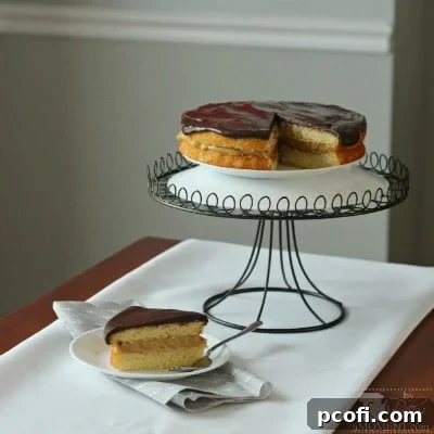 Decadent Peanut Butter Boston Cream Pie, combining classic cream pie with rich peanut butter flavor – so much YES to this indulgent dessert!