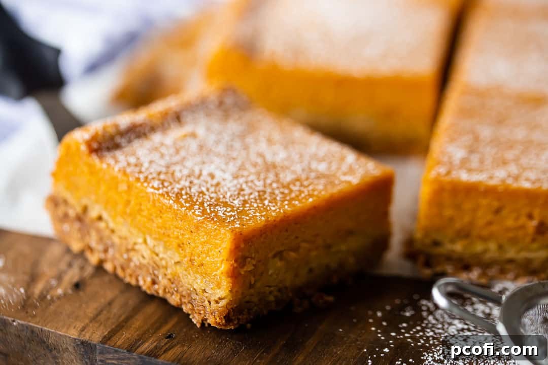 A close-up, tempting view of a slice of homemade Pumpkin Ooey Gooey Butter Cake, showcasing its luscious, creamy filling and tender crust.