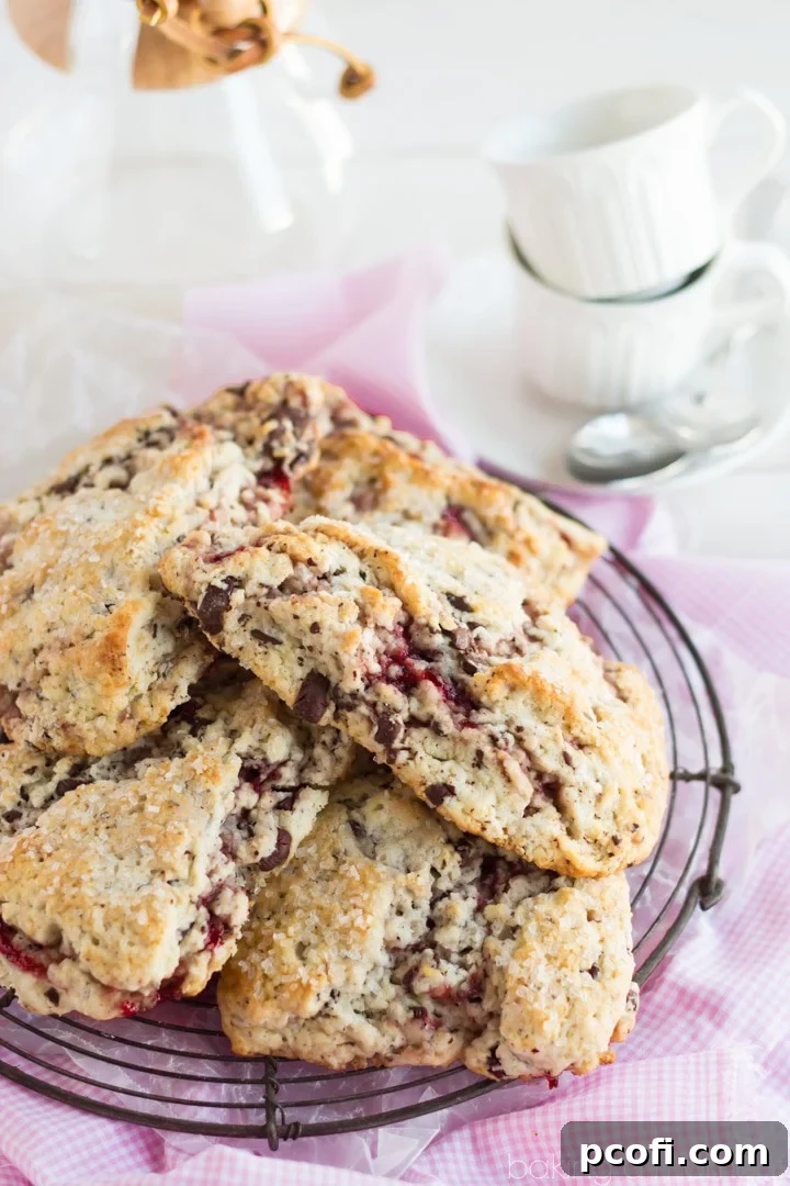Close-up of baked raspberry ripple scones with visible dark chocolate chunks