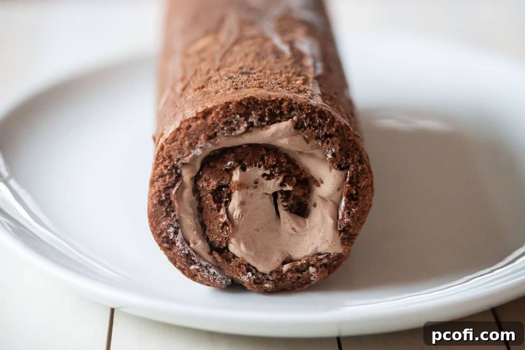 A chocolate yule log cake beautifully rolled with its chocolate whipped cream filling, showcasing the perfect spiral for a Buche de Noel.