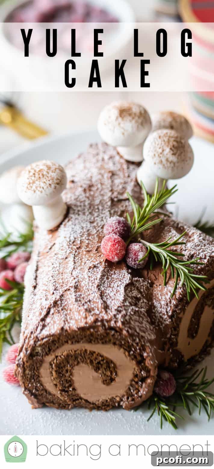 Yule log cake buche de noel pin 1.