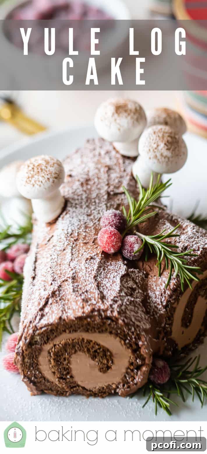 Yule log cake buche de noel pin 2.