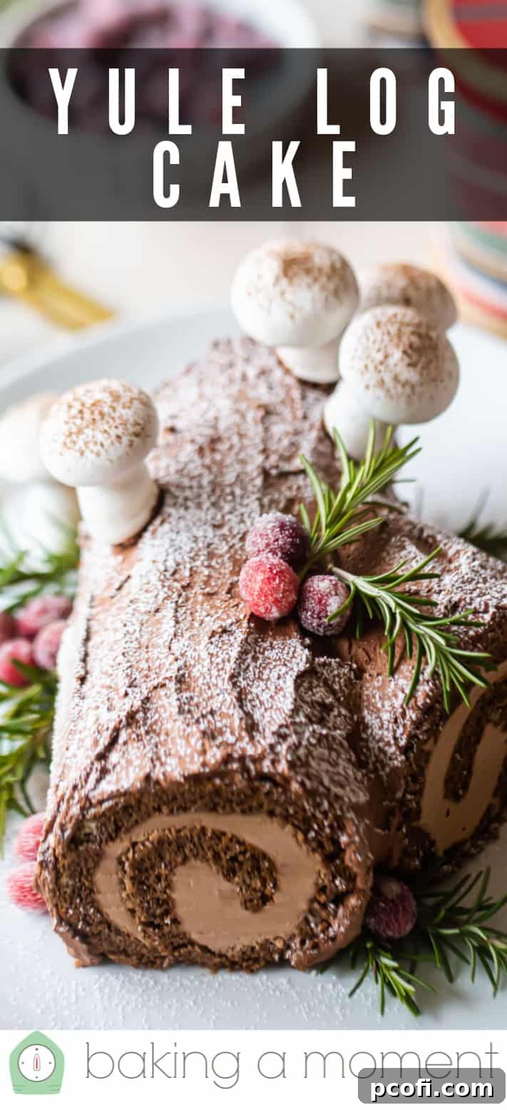 Yule log cake buche de noel pin 2.