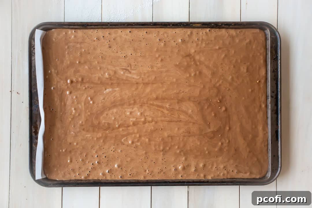 Unbaked chocolate sponge cake batter spread evenly in a 10x15-inch jelly roll pan, prepared for baking a yule log cake.
