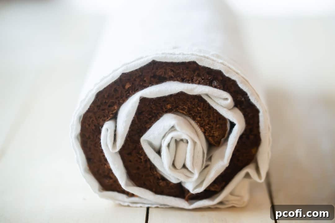 A freshly rolled warm chocolate yule log cake, securely wrapped in a kitchen towel, cooling to set its spiral form.