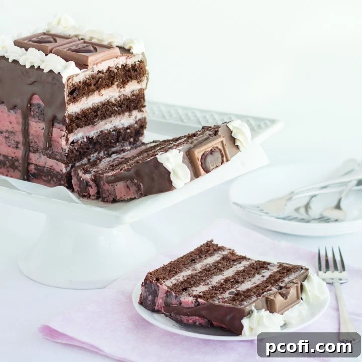 Layers of moist dark chocolate cake, with a silky dark cherry buttercream- so pretty for Valentine's Day!