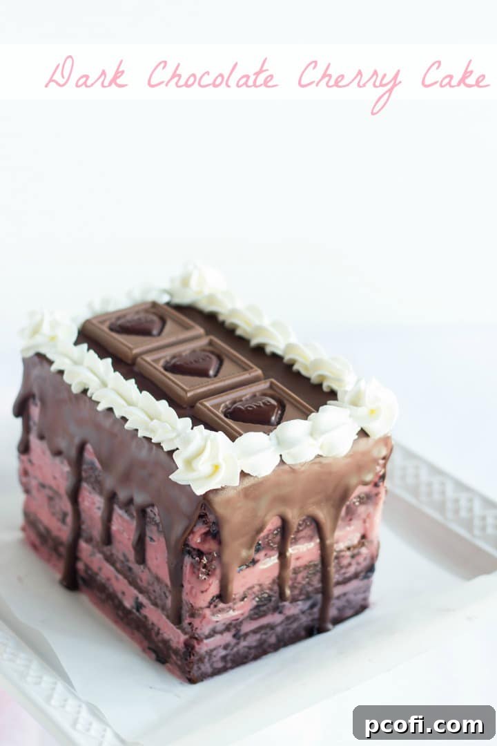 Layers of moist dark chocolate cake, with a silky dark cherry buttercream- so pretty for Valentine's Day!